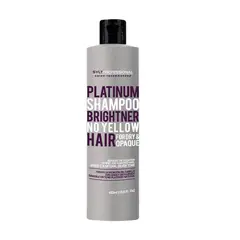 GENERICO - Shampoo Platinum 493ml SYLT Professional