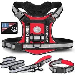 GENERICO - COLLAR Y PECHERA ROJO TALLA S TÁCTICA REFORZADA PARA PERRO