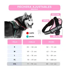 RYBIU IMPORT - Correa Apto para Perros Grandes XXL Rosado Y+Ligas de Regalo