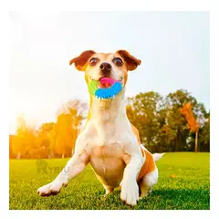 RYBIU IMPORT - Aro Resistente para Dog de 11 cm Multicolor Y+Stickers