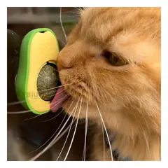 GENERICO - Catnip Divertido para Mascotas Color Verde Y+Papel de Regalo