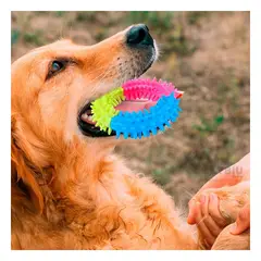 GENERICO - Aro Didactico de Cachorro 11 cm Multicolor Y+Papel de Regalo