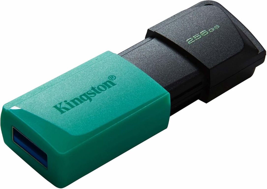 MEMORIA USB DE 256GB DTXM RETRACTIL