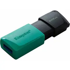 KINGSTON - MEMORIA USB DE 256GB DTXM RETRACTIL