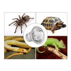 GENERICO - PACK 2 FOCOS UVB + UVA PARA REPTILES MASCOTAS 50W 220V