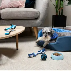 GENERICO - Kulcan Set Completo De Entrenamiento Para Perros