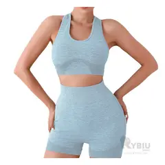 GENERICO - Conjunto Perfecto Yoga en Celeste Y+Regalo Ligas para Peinar