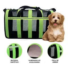 RYBIU IMPORT - Transportador Cat Huevo en Verde Y+Regalo Ligas para Peinar