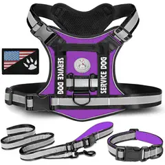 GENERICO - COLLAR Y PECHERA MORADA TALLA S TÁCTICA REFORZADA PARA PERRO