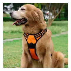 RYBIU IMPORT - Pechera Canina en Tono Anaranjado Y+Regalo Ligas para Peinar