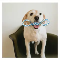 GENERICO - Cuerda para Masticar de Color Celeste Y+Papel de Regalo