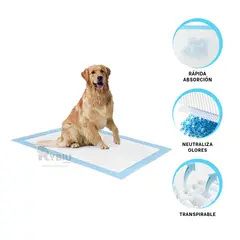 GENERICO - Alfombrilla Sanitario 60x60 en Talla L Y+Gift Stickers