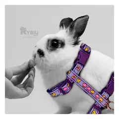 RYBIU IMPORT - Arnes Comodo y Delgado para Conejo en Tono Lila Y+Stickers