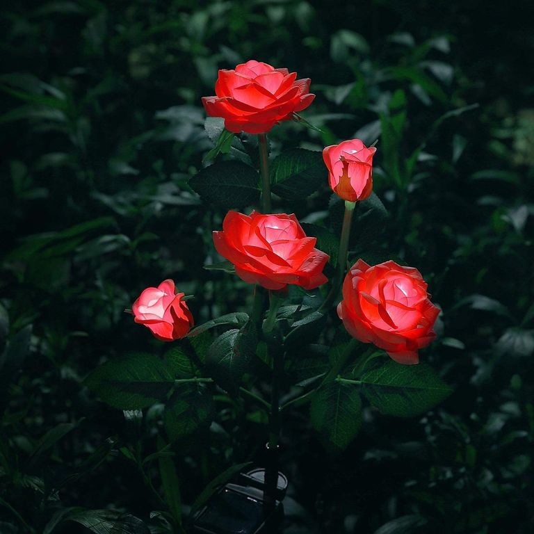 Lámpara LED Solares de flores de rosas para exteriores - Rojo