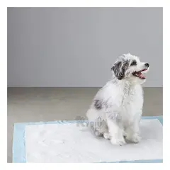 RYBIU IMPORT - Pañal Higienico Funcional 60x60 en Talla L Y+Papel de Regalo