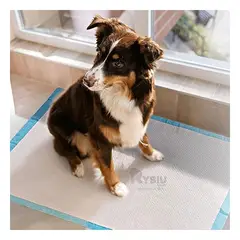 RYBIU IMPORT - Pañal Absorbente para Suelo 60x60 Talla L Y+Papel de Regalo