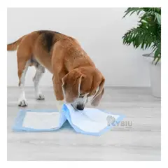 GENERICO - Pañal Protector de Piso Pet 60x60 Talla L Y+Regalo Agendita