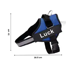 GENERICO - Pechera Funcional Talla S Azul Y+Banderitas adhesivas