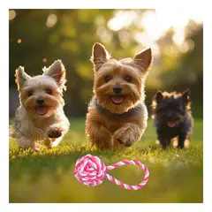 GENERICO - Juguete Mordedor de Perro en Rosado Y+Banderitas Adhesivas