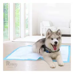 GENERICO - Pañal de Piso Practico 45x60 en Talla M Y+Papel de Regalo