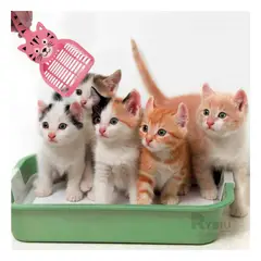 GENERICO - Pala de Limpieza para Arenero Color Rosado Y+Regalo Stickers