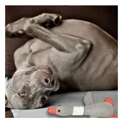 GENERICO - Muñeco para Jugar al Aire Libre Plomo Y+Regalo Stickers