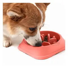 GENERICO - Platillo Antiestres en Tono Rojo Y+Banderitas Adhesivas