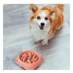 GENERICO - Plato Pet Antiestres Cuadrado Moderno de Color Rosado