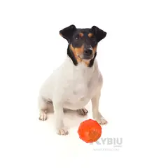 RYBIU IMPORT - Bola de Entrenamiento en Anaranjado Y+Regalo Agendita