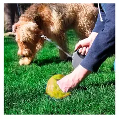 GENERICO - Bolsa para Residuos en Color Amarillo Y+Regalo Stickers