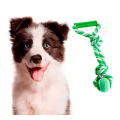 GENERICO - Juguete de Can con Pelota de Tenis Verde Y+Regalo Agendita