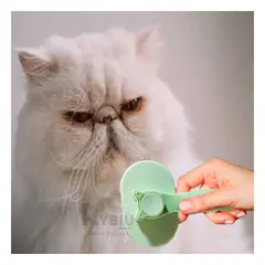 RYBIU IMPORT - Peine para Gatos de Color Verde Y+Envoltorio de Regalo