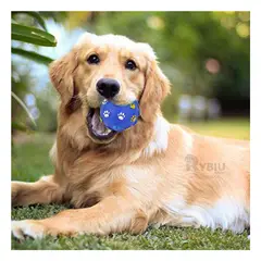 RYBIU IMPORT - Pelota Antiestres para Perros en Azul Y+Regalo Stickers
