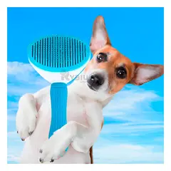 GENERICO - Cepillo Desenredante y Ergonomico Celeste Y+Regalo Stickers