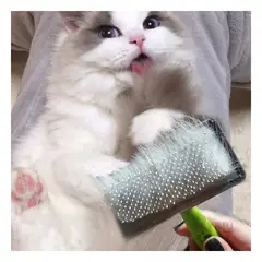 GENERICO - Cepillo para Gatos Practico Verde Talla L Y+Regalo Stickers