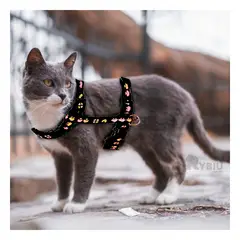 RYBIU IMPORT - Tirante Bonito y Resistente en Negro Y+Ligas de Regalo