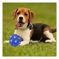 GENERICO - Juguete Duradero para Perros en Azul Y+Gift MiniAgenda