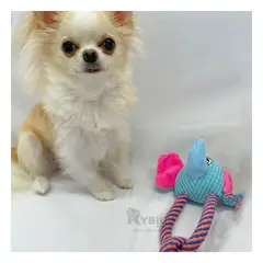 GENERICO - Peluche Didactico y Moderno en Modelo Elefante Y+Stickers