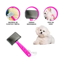 GENERICO - Cepillo Resistente en Fucsia Talla S Y+Envoltorio de Regalo