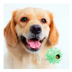 GENERICO - Pelota Practica para Juego en Color Verde Y+Papel de Regalo