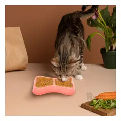 RYBIU IMPORT - Comedero Dual para Pet de Color Rosado Y+Gift MiniAgenda