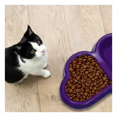 RYBIU IMPORT - Plato para Mascotas de Plastico Color Morado Y+Stickers