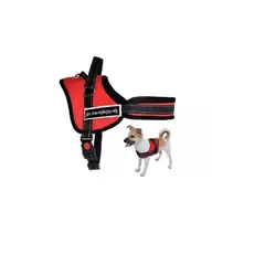 OTTOWARE - Arnés para Mascotas Dog Happy Talla L