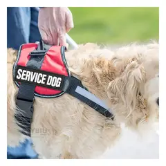 GENERICO - Correa para Perros Pequeños Rojo Talla S Y+Gift MiniAgenda