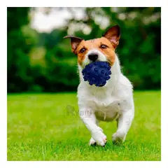 RYBIU IMPORT - Juguete para Morder de Color Azul Y+Papel de Regalo