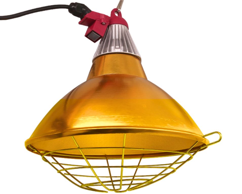 Lámpara Protector Grande De Foco Infrarrojo De Aluminio SL-GD300