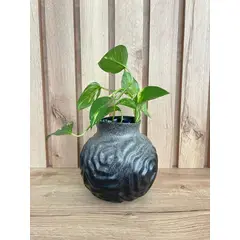 MAP DESIGN HOME - Florero Redondo Petit Soho 17x07x17 cm