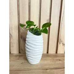 MAP DESIGN HOME - Florero Soho Largo Petit Blanco 13x24 cm