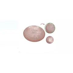 GENERICO - PlatoBandeja con diseños Navideños