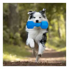 GENERICO - Juguete Resistente de Caucho para Mascotas Color Azul